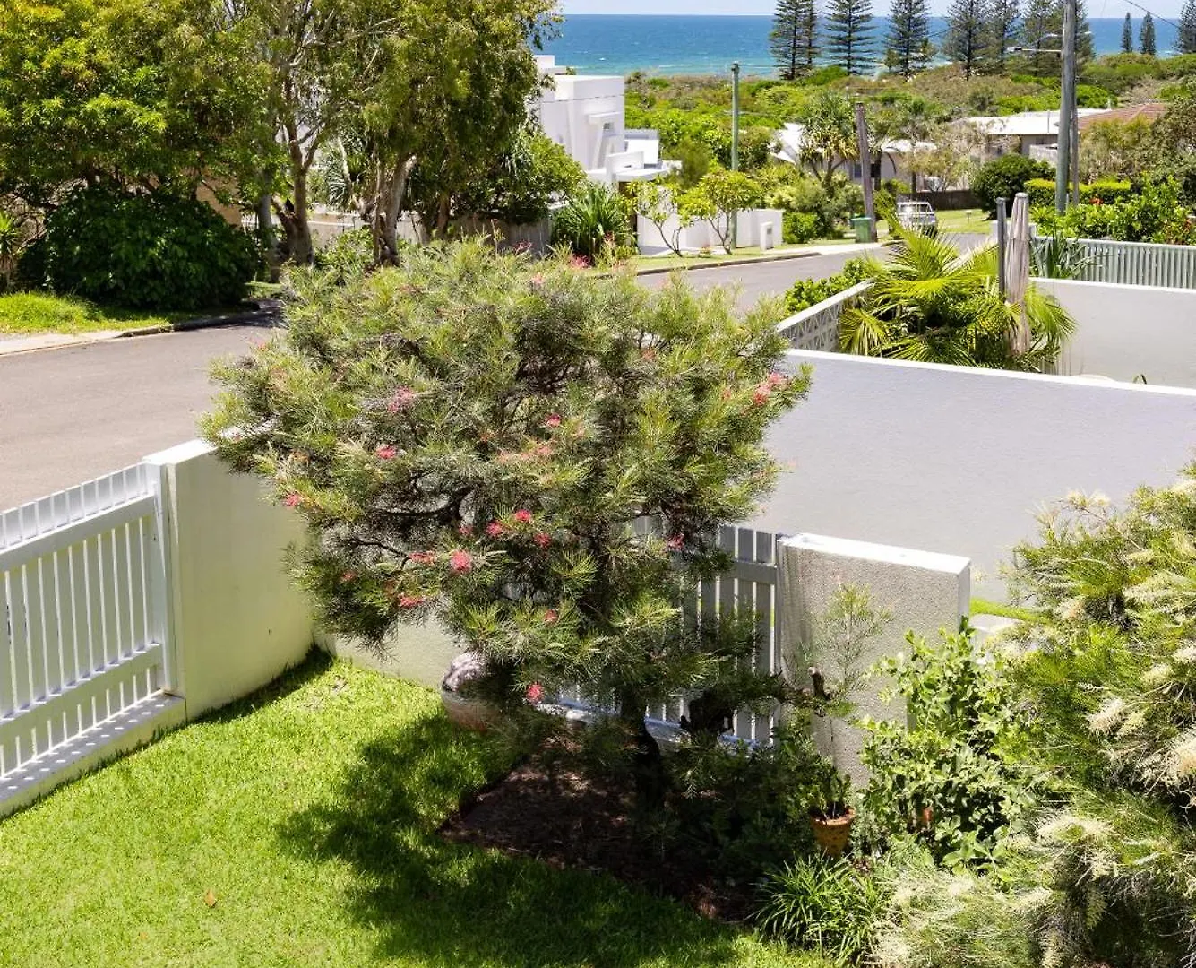 Noosa Gem In Peregian Beach - Ocean View - Steps To Beach & Village! Dog And Family Friendly 0*,